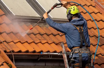 Démoussage et hydrofuge de toiture à Échalot